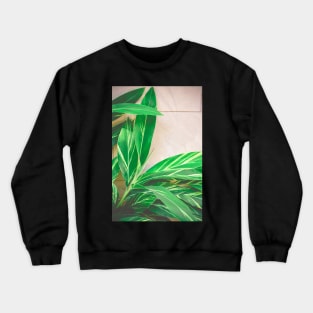 Lush Crewneck Sweatshirt